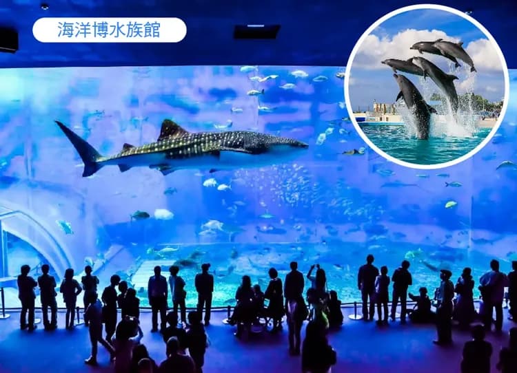 漫活沖繩4日.玉泉洞大鼓秀.美之海水族館.古宇利塔輕旅行(加贈單軌電車一日卷)