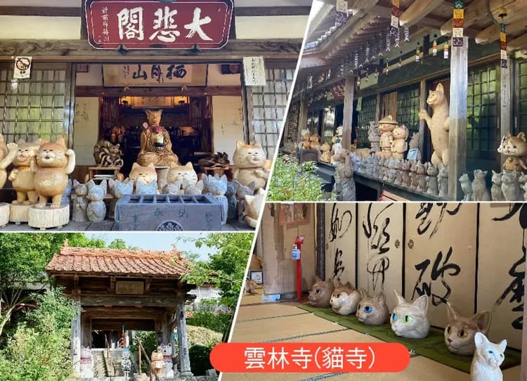 絕美山陽九州三溫泉7日宮島神社.世羅花海.元乃隅稻成神社.青海島秘境遊船.角島大橋.琉璃光寺.秋芳洞.牡蠣海鮮.酒莊饗宴-12