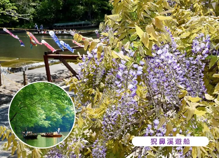 愛戀東北雙溫泉5日.銀河觀星纜車.秘境銀山溫泉.藏王御釜.小岩井農場.猊鼻溪遊船.嚴美溪谷.松島遊船.米澤牛燒肉-7