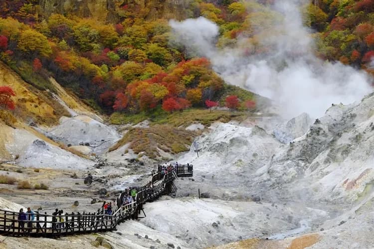 好友搶購北海道｜尼克斯企鵝.小樽漫遊.長腳蟹吃到飽.一日自主遊.保住二晚溫泉.六日｜【高雄直飛】-5