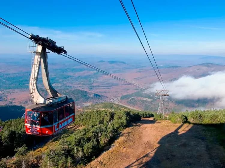 白山森林公園景觀纜車-玩家推薦