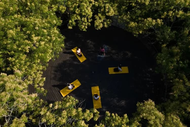 Glamping Hygge Hill 山野森活-12