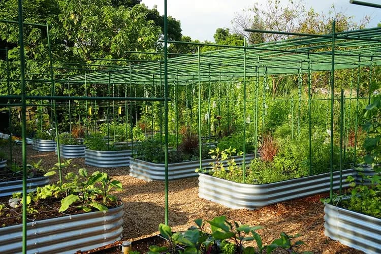 Glamping Hygge Hill 山野森活-15