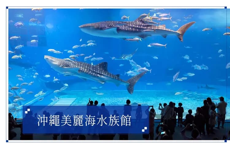 【超值沖繩５日】古宇利戀之島、人氣海博館海豚秀、AEON永旺來客夢、小希臘瀨長島、糸滿魚市場[含稅]