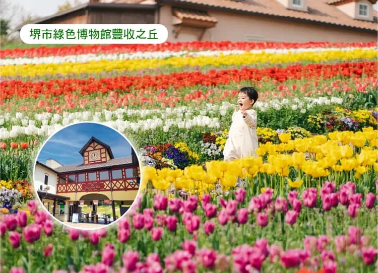 高雄出發.花現關西立山黑部溫泉6日.螃蟹近江牛.璀璨花海.美秀美術館.秘境上高地.合掌村.兼六園.大鳥大社.結緣下鴨神社-5