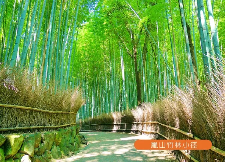 【兒童折萬.高雄】FUN暑假名阪雙樂園6日兩晚環球周邊飯店.螃蟹和牛吃到飽.絕美花海.環球影城.樂高樂園.嵐山叮叮車-6