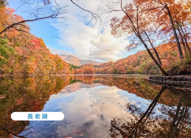 秘境秋韻東北賞楓7日.秘境奧入瀨溪.藏王纜車.蔦沼紅葉.猊鼻溪遊船.銀山溫泉.採蘋果.溫泉美食(日本航空)-13