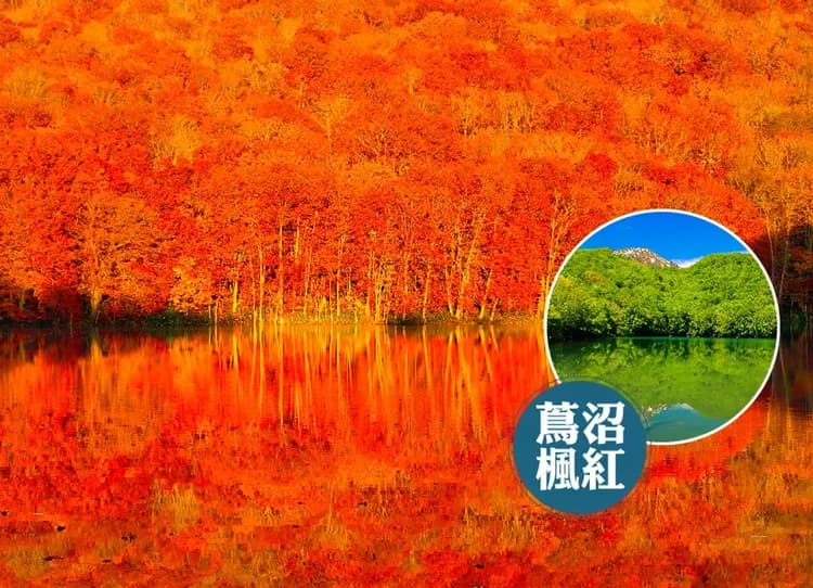 秘境秋韻東北賞楓7日.秘境奧入瀨溪.藏王纜車.蔦沼紅葉.猊鼻溪遊船.銀山溫泉.採蘋果.溫泉美食(日本航空)-9