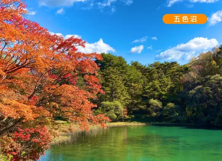 秘境秋韻東北賞楓7日.秘境奧入瀨溪.藏王纜車.蔦沼紅葉.猊鼻溪遊船.銀山溫泉.採蘋果.溫泉美食(日本航空)-11
