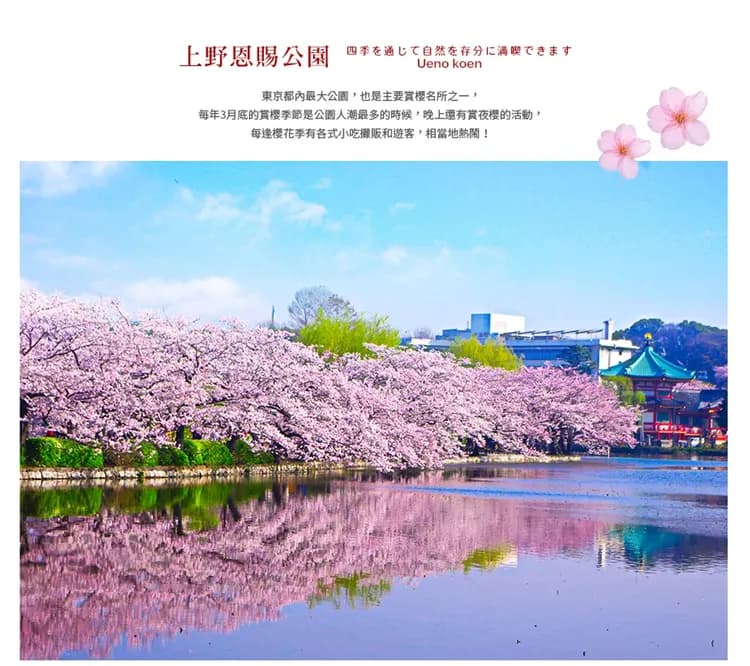 【櫻花富士輕井澤漫遊５日】賞櫻百選、山高神代櫻、Laview列車、敘敘苑燒肉、螃蟹吃到飽[含稅]-7