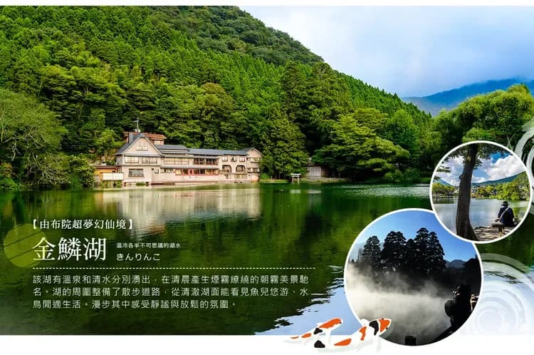 【九州長崎浪漫５日】豪斯登堡、九十九島、長崎斜坡車、湯布院、柳川遊船、企鵝水族館[含稅簽]-6