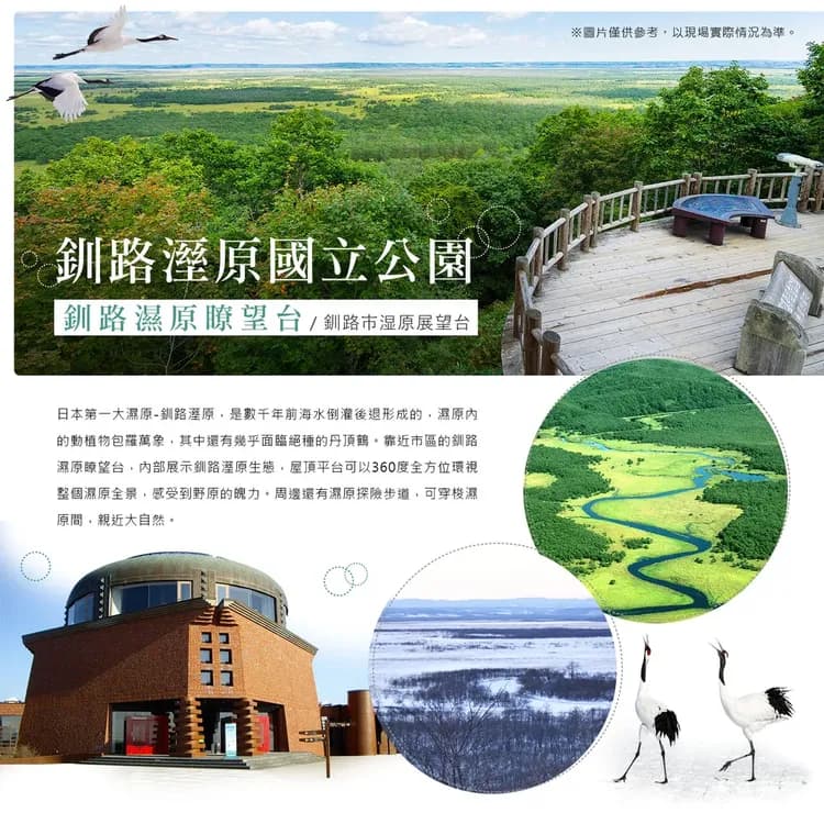 【長榮芝櫻感謝祭北海道７日】芝櫻公園、浪漫鬱金香、釧路溼原、企鵝遊行、池田葡萄酒廠、洞爺湖畔花火、螃蟹美人湯[含稅簽]-7