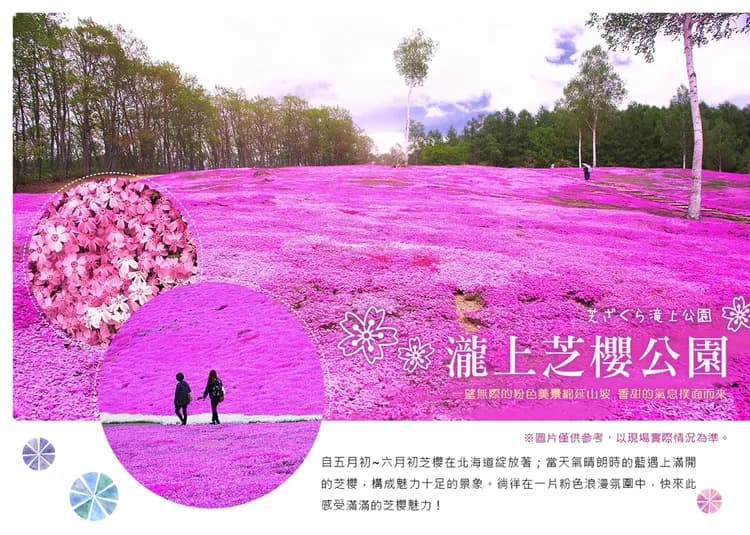 【長榮芝櫻感謝祭北海道７日】芝櫻公園、浪漫鬱金香、釧路溼原、企鵝遊行、池田葡萄酒廠、洞爺湖畔花火、螃蟹美人湯[含稅簽]-6