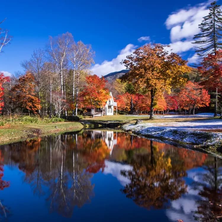 【秋日戀楓・北海道十景巡禮５日】黑岳纜車、福原山莊秘境、然別湖遊船、楓染豐平峽、螃蟹溫泉[含稅簽]