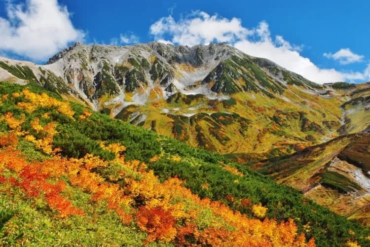 【經典名古屋．秋遊黑部立山５日】名古屋萬怡、白川鄉合掌村、金澤兼六園、上高地[含稅]