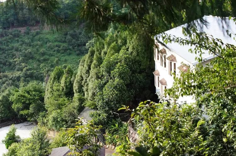 流星花園幸福樂活露營區｜全新上架！百萬夜景、三層樓高溜滑梯、親子友善步道-6
