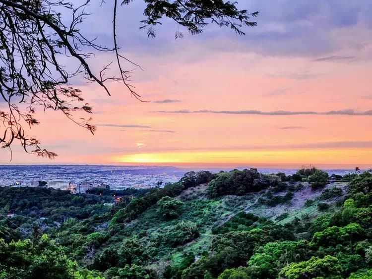 流星花園幸福樂活露營區｜全新上架！百萬夜景、三層樓高溜滑梯、親子友善步道-9