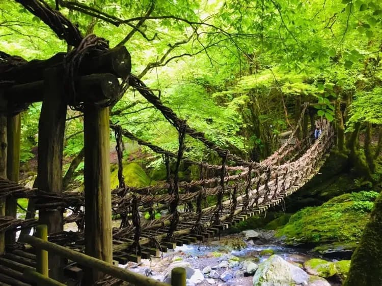 【深度四國５日】小豆島寒霞溪纜車、大步危遊船、高知哈密瓜、道後溫泉饗宴[含稅]