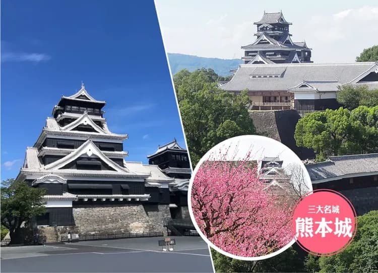 FUN暑假九州雙樂園5日.自然野生動物園.水族館.萌熊電車.柳川遊船.湯布院小鎮.佐賀牛(大分進佐賀出)-10