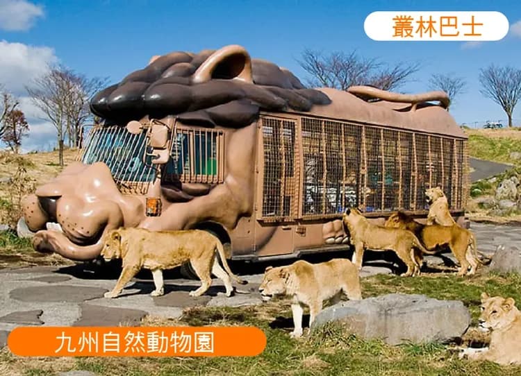 FUN暑假九州雙樂園5日.自然野生動物園.水族館.萌熊電車.柳川遊船.湯布院小鎮.佐賀牛(大分進佐賀出)