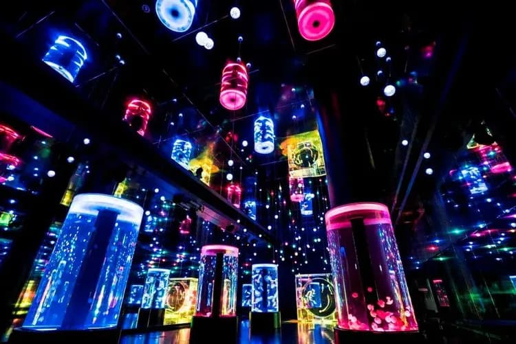 品川水族館(海豚表演)