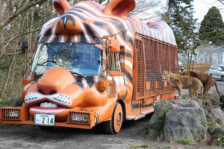 富士野生動物園(叢林巴士)