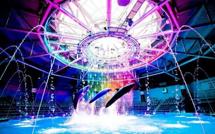 品川水族館(海豚表演)