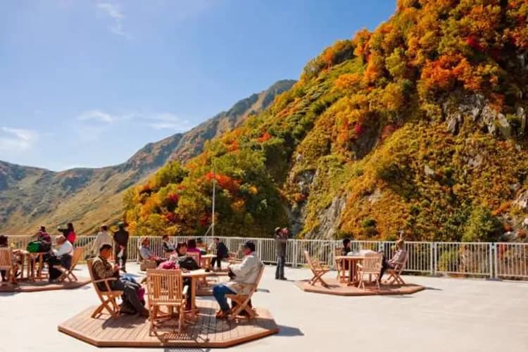 楓紅北陸致青春～立山黑部、合掌村兼六園、開運熱田神宮、上高地溫泉香六日-6