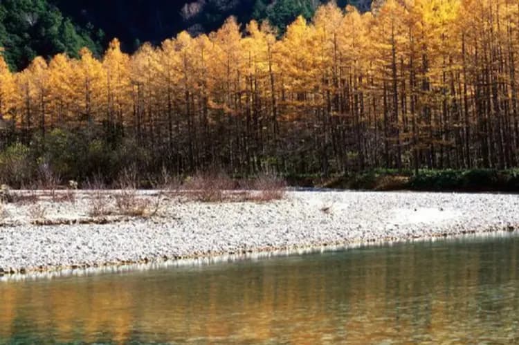 楓紅北陸致青春～立山黑部、合掌村兼六園、開運熱田神宮、上高地溫泉香六日-10