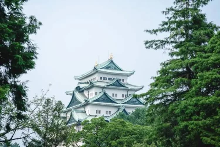 ©名古屋城総合事務所-名古屋城(百大名城)+熱田神宮