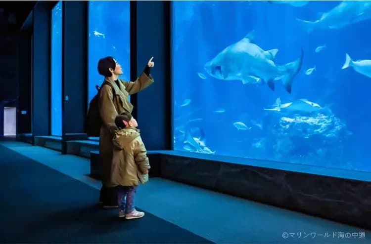 海之中道海洋公園