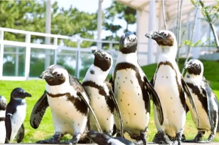 海之中道海洋公園