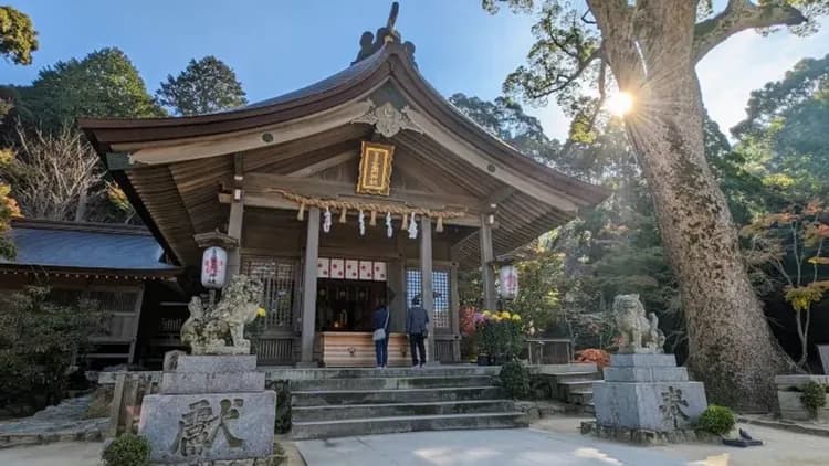 九州OMG～湯布院熊本城、海中道水族館、長腳蟹吃到飽、門司港懷舊行五日-5