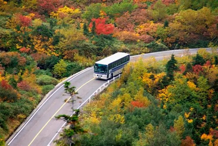 楓紅北陸致青春～立山黑部、合掌村兼六園、奧飛驒熊牧場、富山希爾頓逸林五日-10