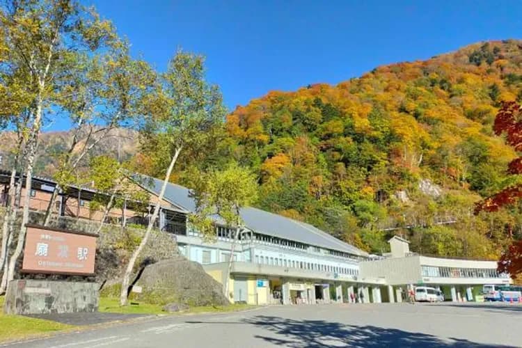 楓紅北陸致青春～立山黑部、合掌村兼六園、奧飛驒熊牧場、富山希爾頓逸林五日-8