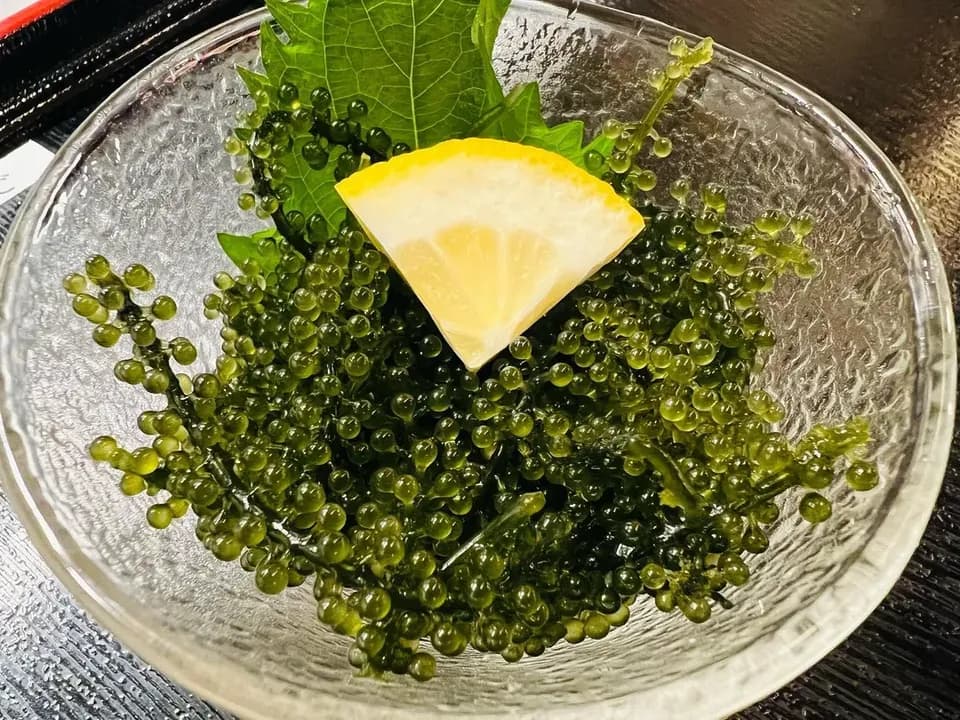 海葡萄