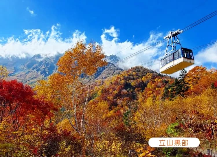 北陸秋楓立山黑部5日.惠那峽遊船.秘境上高地.童話合掌村.飛驒小京都.金澤兼六園.名花之里.三井OUTLET(虎航)