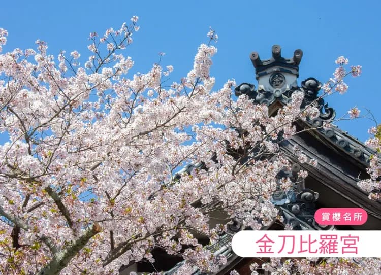 【8人成行】趣玩四國小豆島溫泉4日.天使步道.掏金列車.天空之城.烏龍麵DIY.天空鞦韆.金刀比羅宮.四季花海(華航)