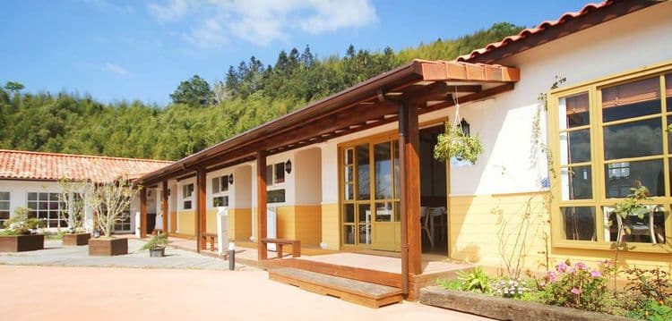 茶香花園民宿-4