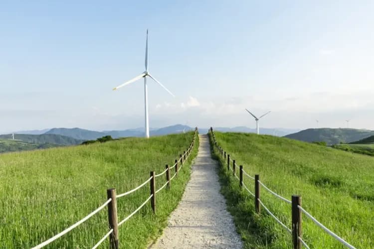 大關嶺三養圓山