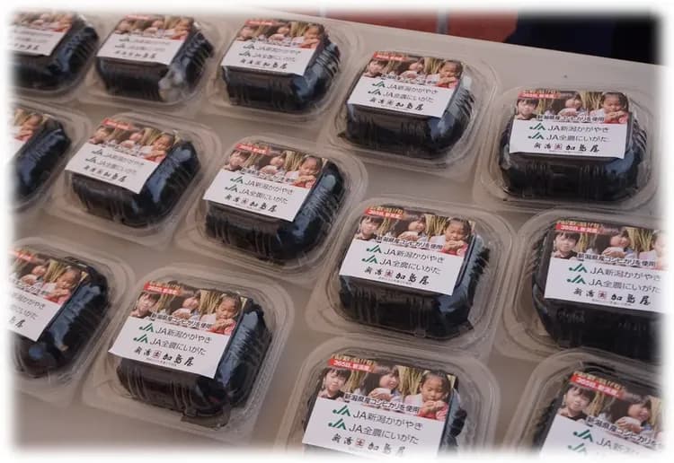 【2026新潟馬拉松】參賽權＋超值精選2晚住宿-13