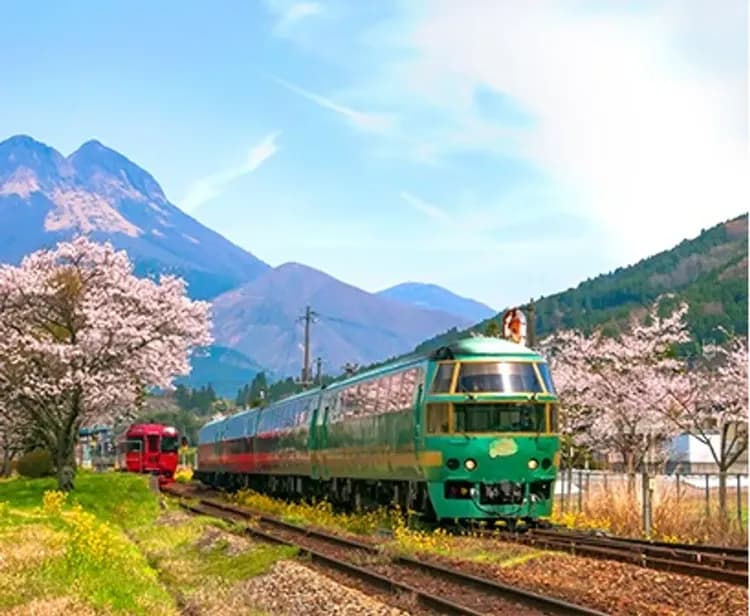 【福岡鐵道海陸空５日】由布院之森鐵道、柳川搖船、九重夢吊橋、湯布院、螃蟹吃到飽[含稅簽]