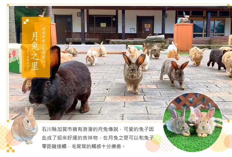 【盛夏北陸關西７日】日本環球影城、恐龍博物館、清水寺、嵐山渡月橋、白川鄉合掌村[含稅]-5