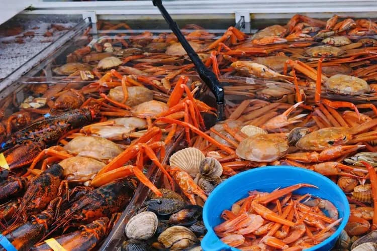 束草觀光水產市場