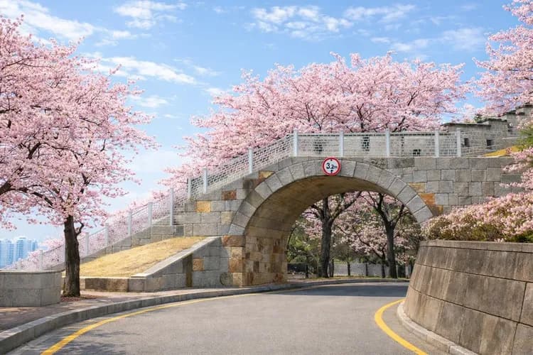 水源華城