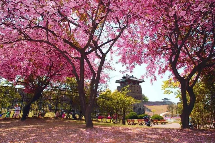 水原華城/ 行理團路