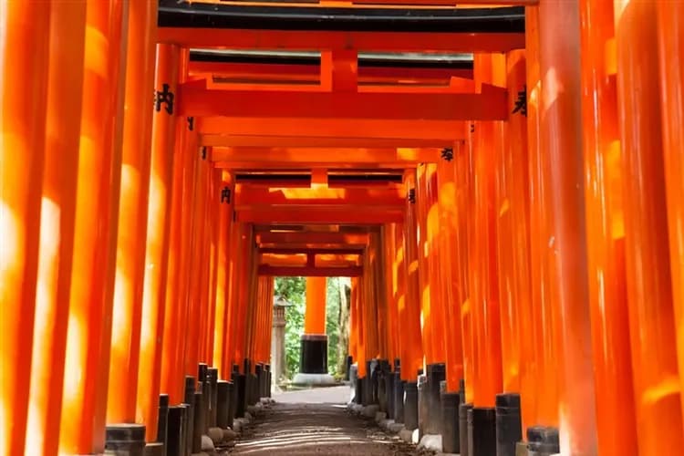 暑假關西｜瑪利歐環球影城.神戶須磨海洋世界.宇治川遊船.阪神甲子園五日｜台中出發-5