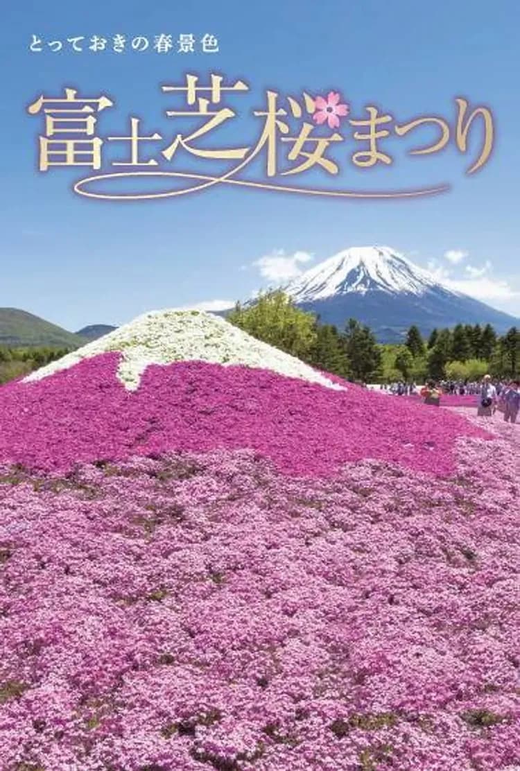 省最大東京花現｜全程無自理餐～足利紫藤花.富士芝櫻.龜戶神社紫藤.館林杜鵑.輕井澤大道.大石公園.淺草寺.螃蟹燒肉.精選雙溫泉五日-5