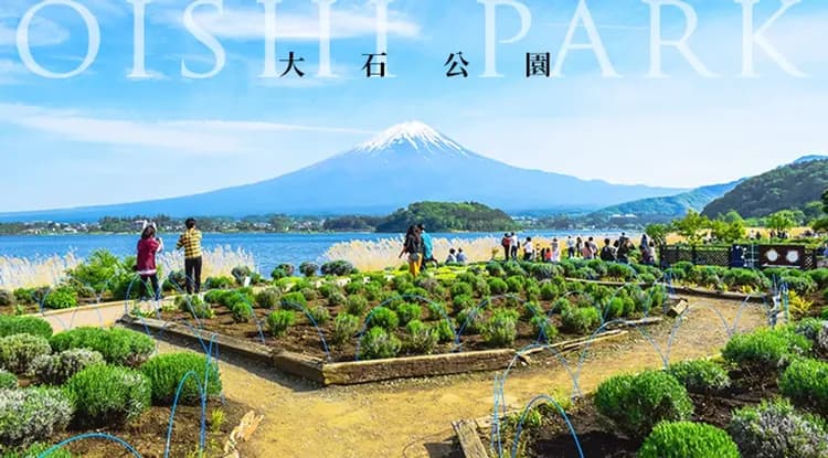 省最大東京花現｜全程無自理餐～足利紫藤花.富士芝櫻.龜戶神社紫藤.館林杜鵑.輕井澤大道.大石公園.淺草寺.螃蟹燒肉.精選雙溫泉五日-12