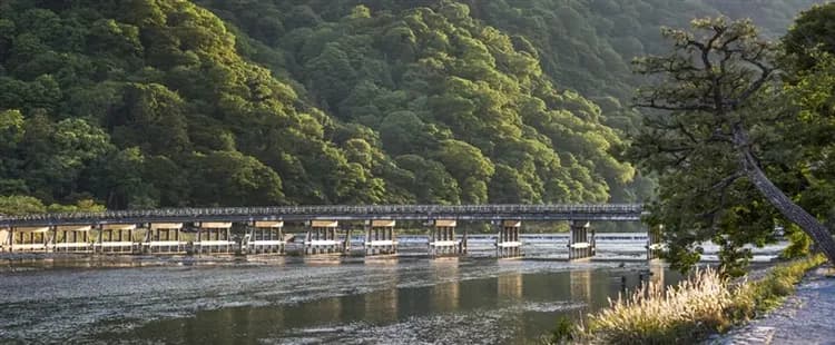 省最大超值四都京阪神奈│奈良東大寺.梅花鹿公園.嵐山渡月橋.開運達摩勝尾寺.有馬溫泉散策.日本環球影城六日-7